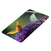 Magnet Flexible Papillon (Côté Gauche)