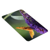 Magnet Flexible Papillon (Côté Droit)