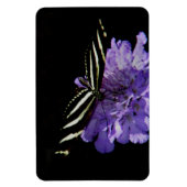 Magnet Flexible Papillon à aile longue Zebra (Vertical)