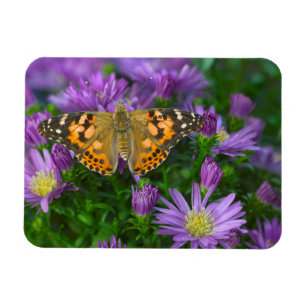 Magnet Flexible Papillon à ailes angulaires sur fleur conique