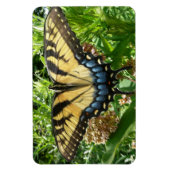 Magnet Flexible Papillon à queue d'aronde II à Shenandoah (Vertical)