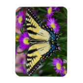 Magnet Flexible Papillon à queue d'hirondelle sur marguerite (Vertical)