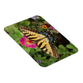 Magnet Flexible Papillon à queue épaisse de tigre magnétique 3"x4" (Côté Droit)