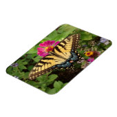 Magnet Flexible Papillon à queue épaisse de tigre magnétique 3"x4" (Côté Gauche)