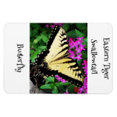 Magnet Flexible Papillon à queue épaisse de tigre orientale #1 (Horizontal)