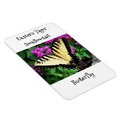 Magnet Flexible Papillon à queue épaisse de tigre orientale #1 (Côté Droit)