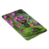 Magnet Flexible Papillon à queue jaune et Dianthus rose (Côté Droit)