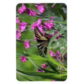 Magnet Flexible Papillon à queue jaune et Dianthus rose (Vertical)