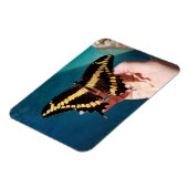 Magnet Flexible Papillon à queue jaune géant (Côté Gauche)