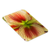 Magnet Flexible Papillon Amaryllis (Côté Droit)