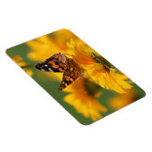 Magnet Flexible Papillon américain (Côté Droit)