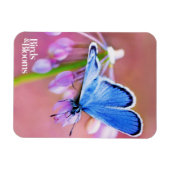 Magnet Flexible Papillon Azure (Horizontal)