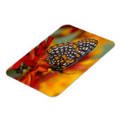 Magnet Flexible Papillon Baltimore-À damiers (Côté Gauche)