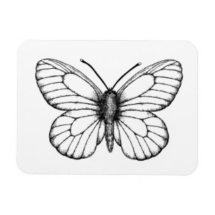 Magnet Flexible Papillon blanc à veine noire