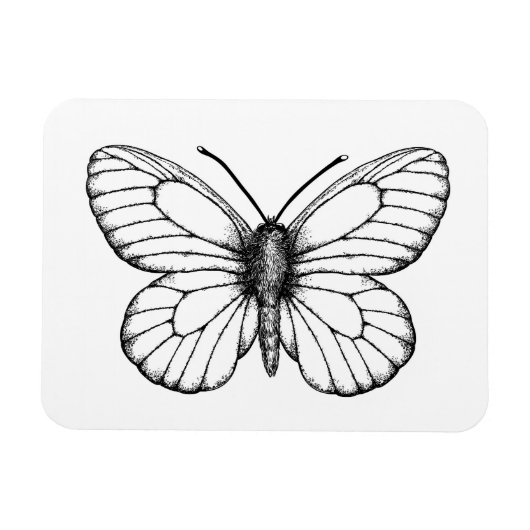 Magnet Flexible Papillon blanc à veine noire (Horizontal)