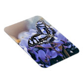 Magnet Flexible Papillon bleu (Côté Droit)