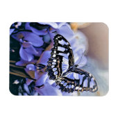 Magnet Flexible Papillon bleu (Horizontal)