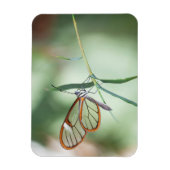 Magnet Flexible Papillon Charmant à Ailes Transparentes (Vertical)