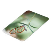 Magnet Flexible Papillon Charmant à Ailes Transparentes (Côté Gauche)