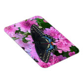 Magnet Flexible Papillon damier de Baltimore (Côté Droit)
