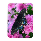 Magnet Flexible Papillon damier de Baltimore (Vertical)