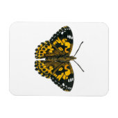 Magnet Flexible Papillon de femme peint (Horizontal)