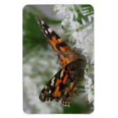 Magnet Flexible Papillon de la Dame peinte (Vertical)