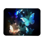 Magnet Flexible Papillon de nuit (Horizontal)