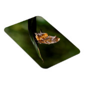 Magnet Flexible Papillon de point d'interrogation (Côté Droit)