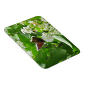 Magnet Flexible Papillon et aimant Lilac de printemps (Côté Droit)