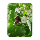 Magnet Flexible Papillon et aimant Lilac de printemps (Vertical)