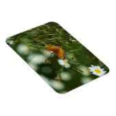 Magnet Flexible Papillon Fritillaire du Pacifique (Côté Droit)