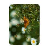 Magnet Flexible Papillon Fritillaire du Pacifique (Vertical)