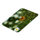 Magnet Flexible Papillon Fritillaire du Pacifique (Côté Gauche)