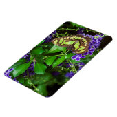 Magnet Flexible Papillon malachite sur fleur violette (Côté Gauche)
