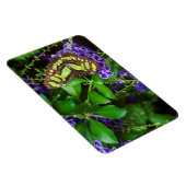 Magnet Flexible Papillon malachite sur fleur violette (Côté Droit)