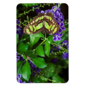 Magnet Flexible Papillon malachite sur fleur violette (Vertical)