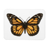 Magnet Flexible Papillon monarque (Horizontal)