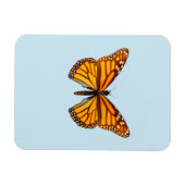 Magnet Flexible Papillon Monarque (Horizontal)