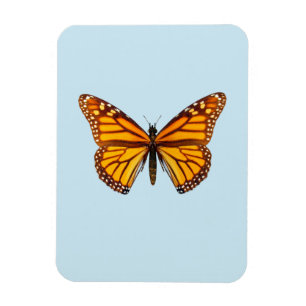 Magnet Flexible Papillon Monarque