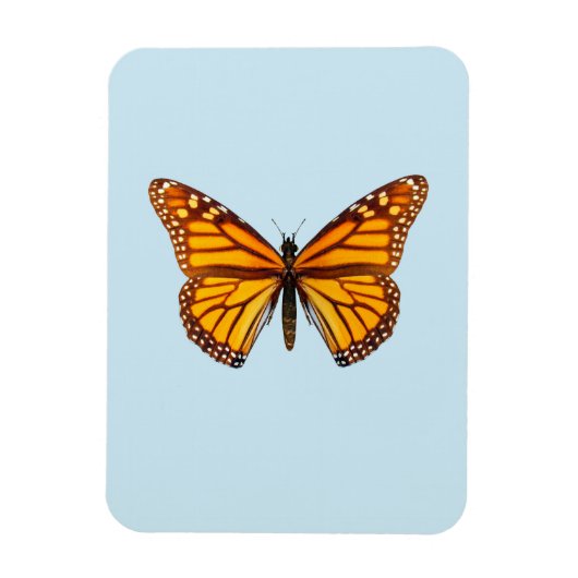 Magnet Flexible Papillon Monarque (Vertical)