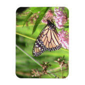 Magnet Flexible Papillon monarque (Vertical)