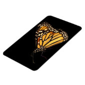 Magnet Flexible Papillon monarque (Côté Gauche)