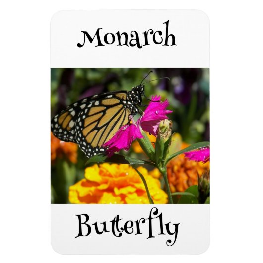 Magnet Flexible Papillon monarque (Vertical)
