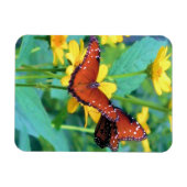 Magnet Flexible Papillon Monarque - Aimant (Horizontal)