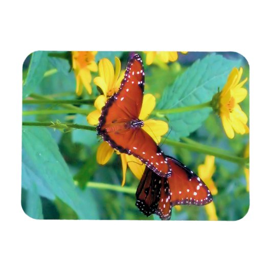 Magnet Flexible Papillon Monarque - Aimant (Horizontal)