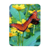 Magnet Flexible Papillon Monarque - Aimant (Vertical)