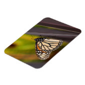 Magnet Flexible Papillon Monarque sur Agave (Côté Gauche)