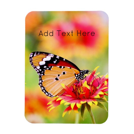 Magnet Flexible Papillon monarque sur Fleur rouge et jaune (Vertical)