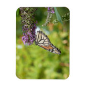 Magnet Flexible Papillon Monarque sur papillon pourpre Bush (Vertical)